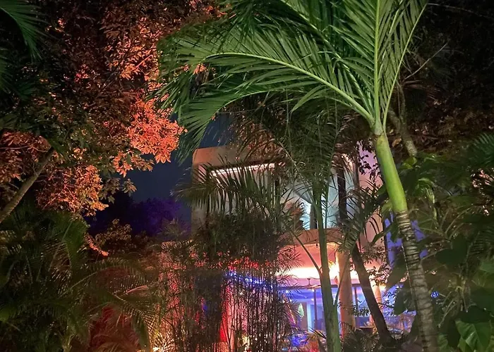 Natural Paradise In Playa del Carmen