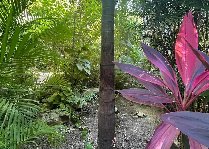 Natural Paradise In Playa del Carmen