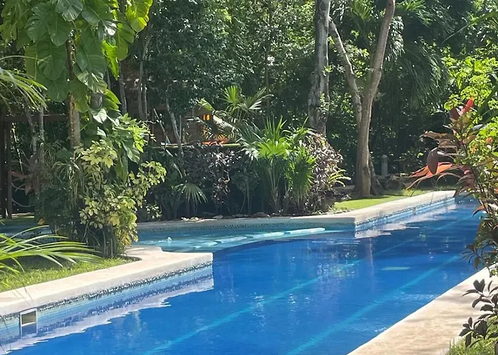 Apartment Natural Paradise In Playa del Carmen