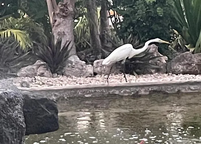 Natural Paradise In Playa del Carmen